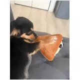 日記画像