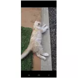 日記画像