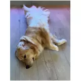 日記画像