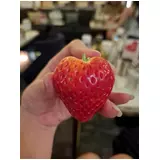 日記画像
