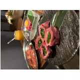 日記画像