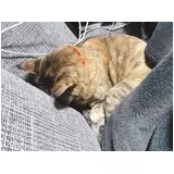 日記画像