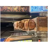 日記画像