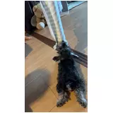 日記画像