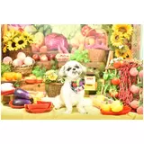 日記画像