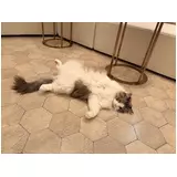 日記画像