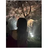 日記画像