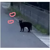 日記画像