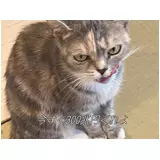 日記画像