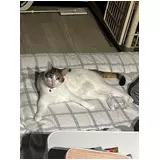 日記画像