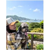 日記画像