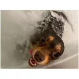 日記画像