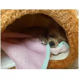 日記画像
