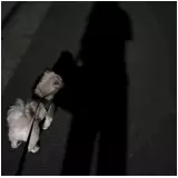 日記画像