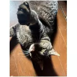 日記画像