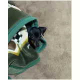 日記画像