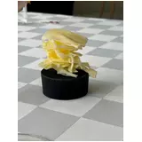 日記画像