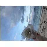 日記画像