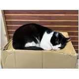 日記画像