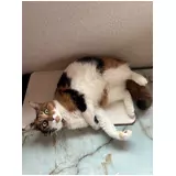 日記画像
