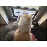 日記画像
