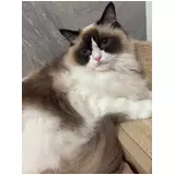 日記画像