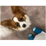 日記画像