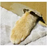 日記画像