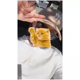 日記画像