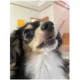 日記画像