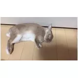 日記画像