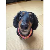 日記画像