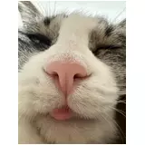 日記画像