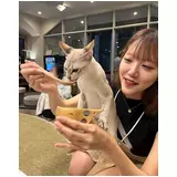日記画像
