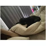 日記画像