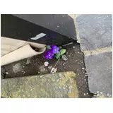 日記画像