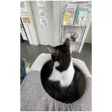 日記画像
