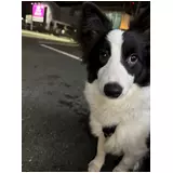 日記画像