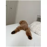 日記画像