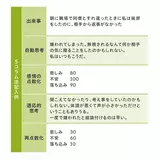 日記画像