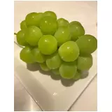 日記画像