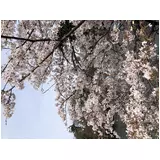 日記画像