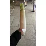 日記画像