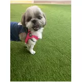 日記画像