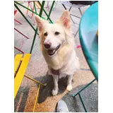 日記画像