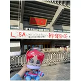 日記画像