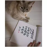 日記画像