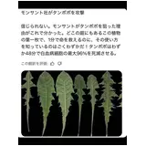 日記画像
