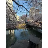 日記画像