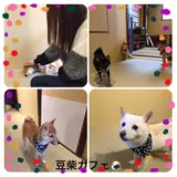 日記画像